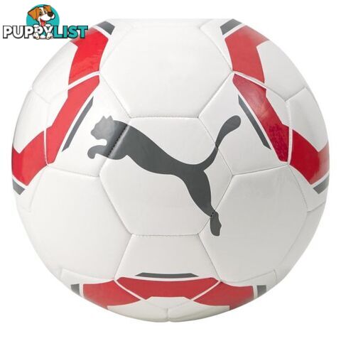 Puma KA PumaxIIc Soccer Ball - White - PUMA