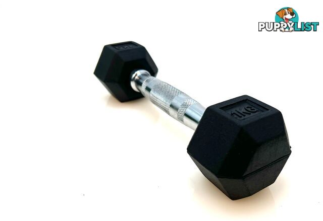 VEO Rubber Hex Dumbbell 1KG - VEO