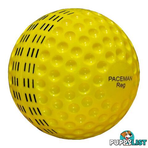 Paceman Reg Hard Ball 12 Pack - PACEMAN