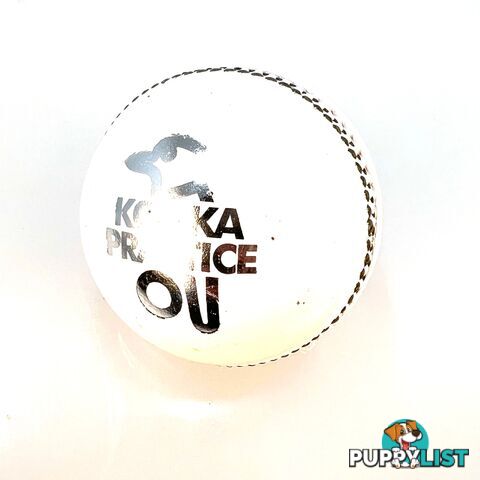 Kookaburra Kooka Practice Ball - KOOKABURRA - 9313131020788