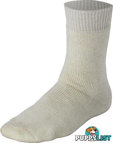 Gray Nicolls 80% Wool Size 2-6 Cricket Socks - Cream lSize S/9-2 - GRAYNICOLLS - 9312555509008