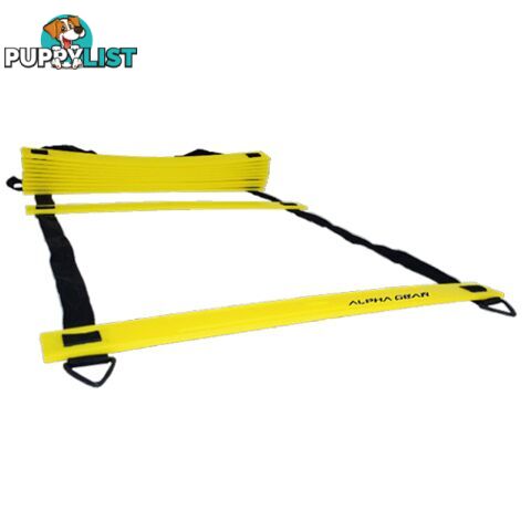 Alpha Gear 4 Metre Agility Ladder + Carry Bag - ALPHA GEAR - 9349748000080