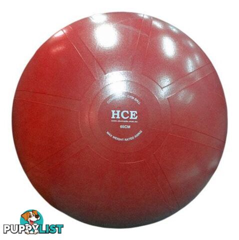 HCE 55cm Commercial Gym Ball - Pink - HCE - 6923744000065