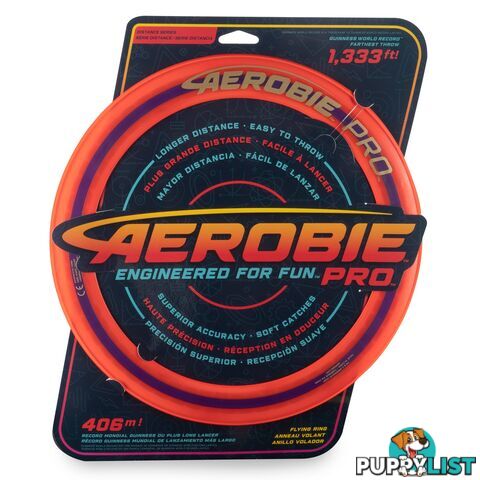 Regent Aerobie 13 inch Frisbee - REGENT