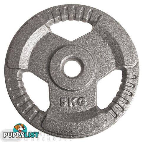 HCE Hammertone Standard Weight Plate 5kg - HCE - 2200000907349