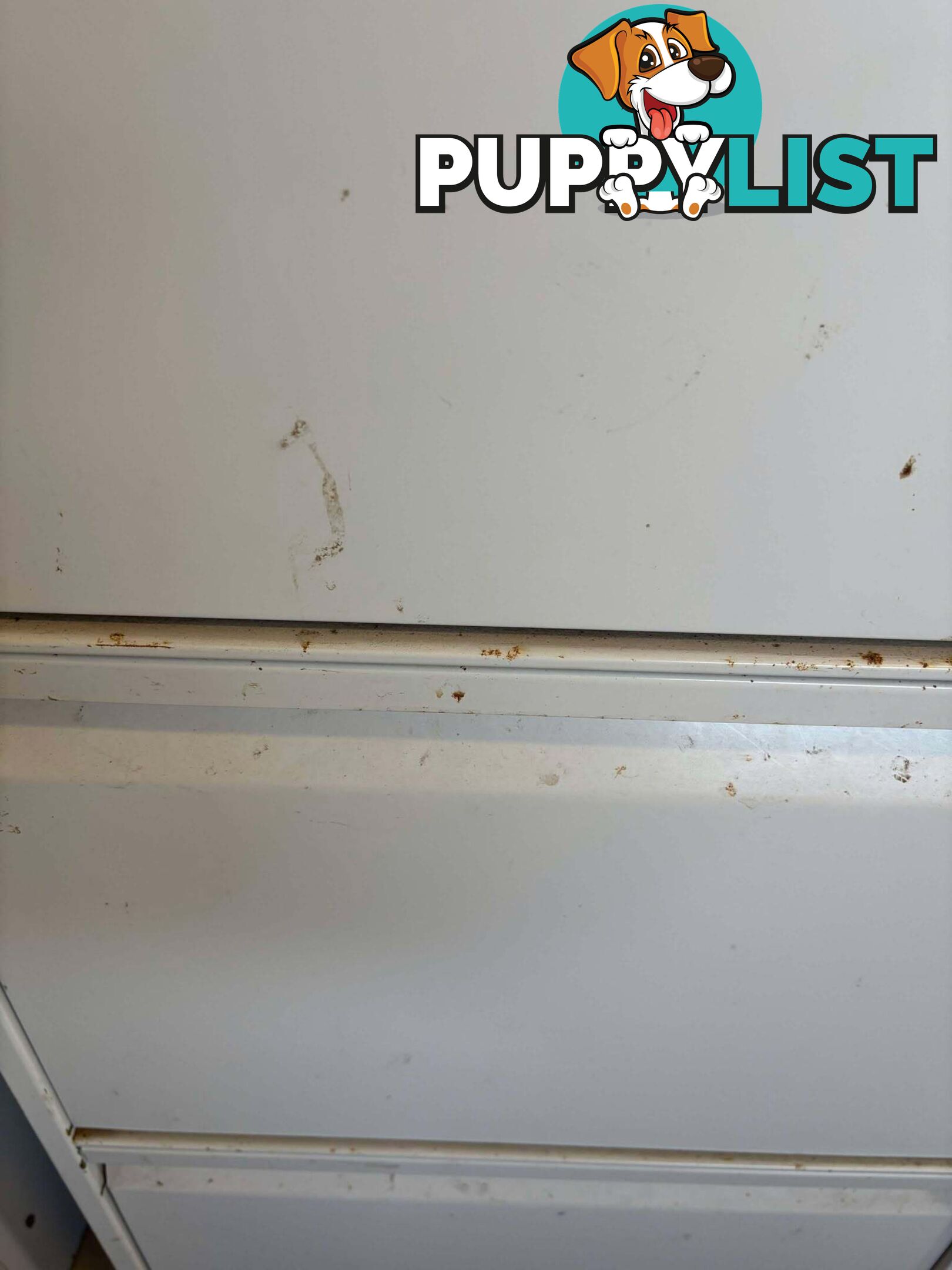 4-Drawer Vertical Filing Cabinet- NO KEY