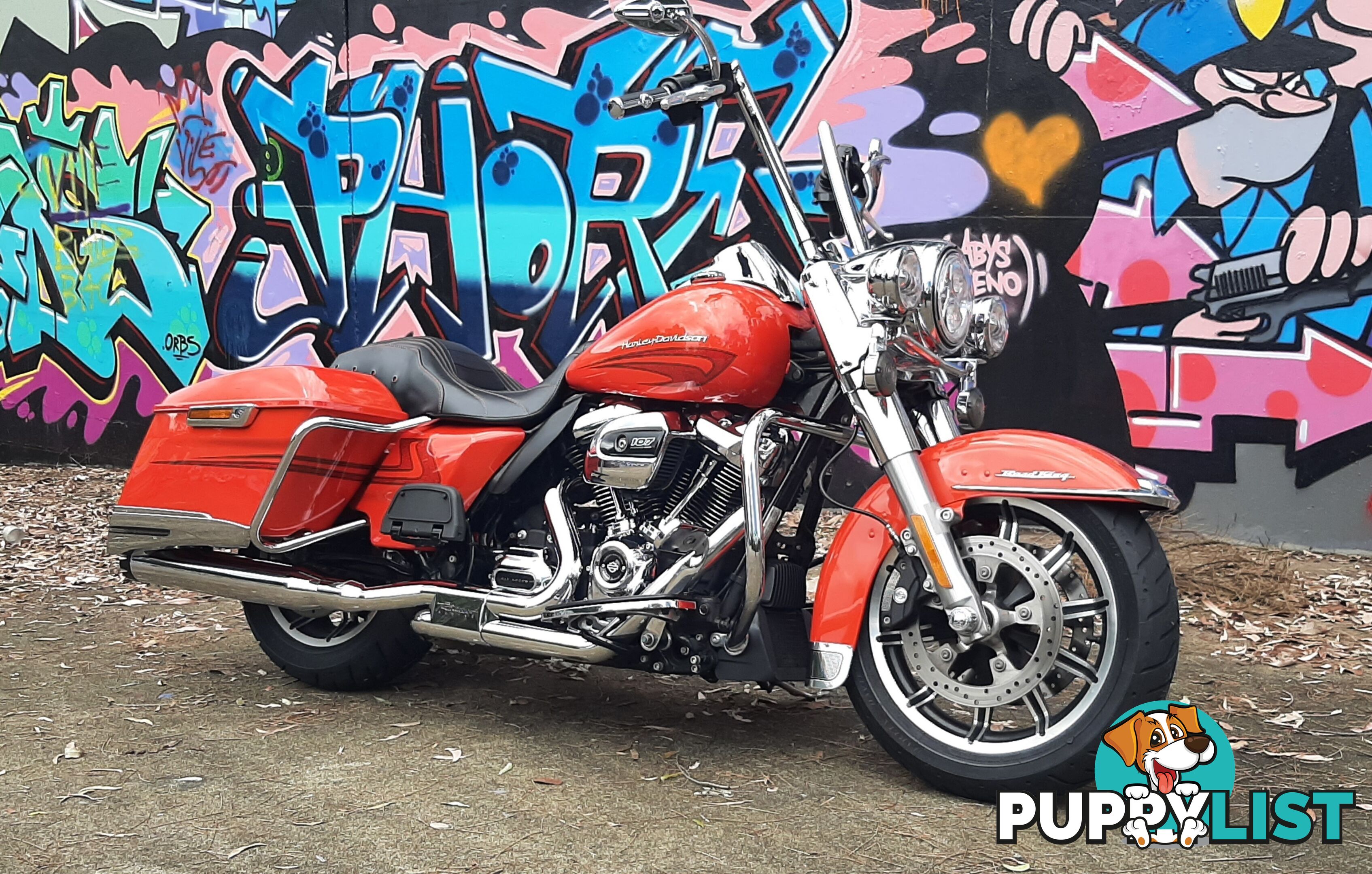 2017 Harley-Davidson Road King 107 (FLHR)