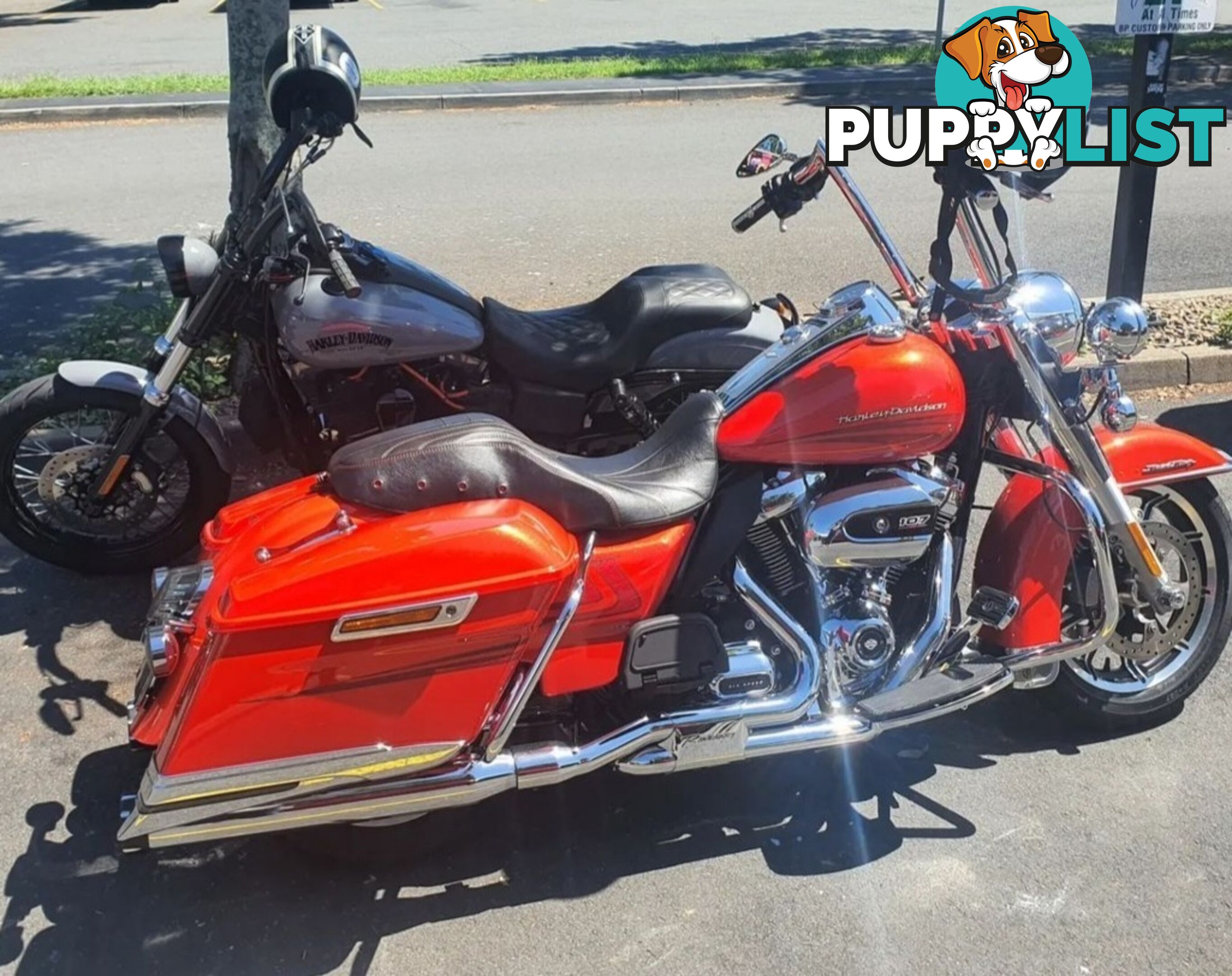 2017 Harley-Davidson Road King 107 (FLHR)