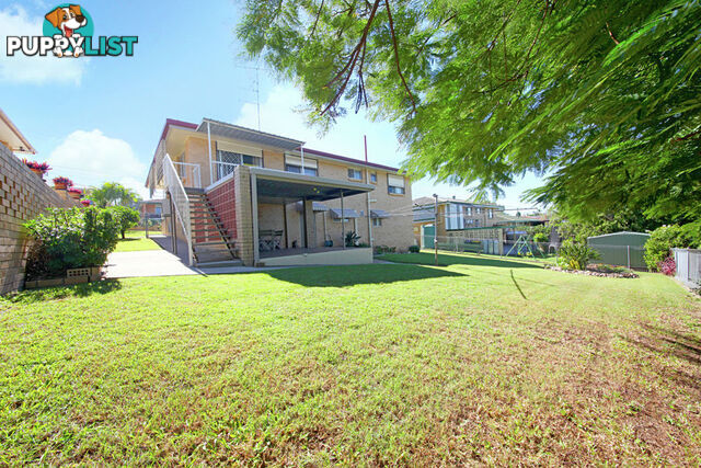 23 Tandanya Street MANSFIELD QLD 4122