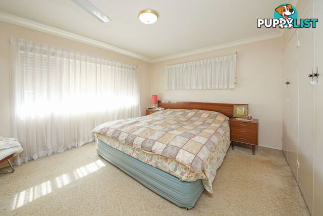 23 Tandanya Street MANSFIELD QLD 4122