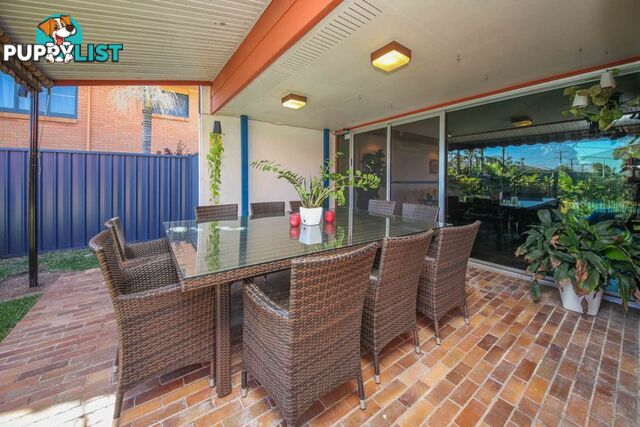 12 Koumala Street MANSFIELD QLD 4122