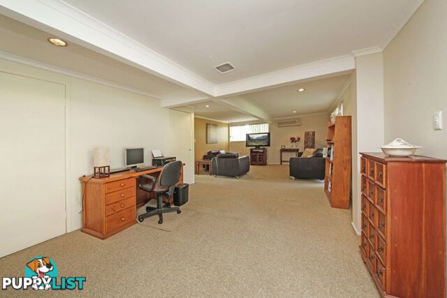 43 Frinton Street WISHART QLD 4122