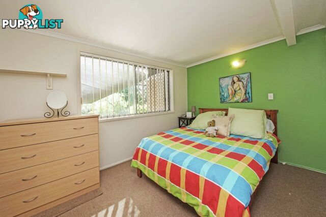 43 Frinton Street WISHART QLD 4122