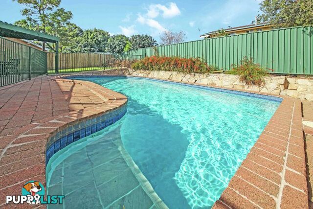 43 Frinton Street WISHART QLD 4122