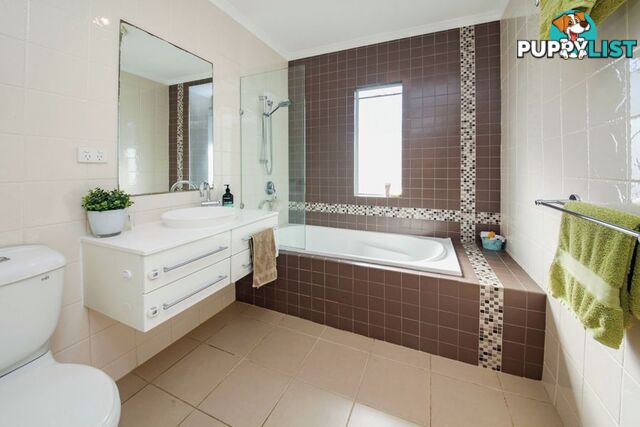 43 Nightingale Street MOUNT GRAVATT EAST QLD 4122