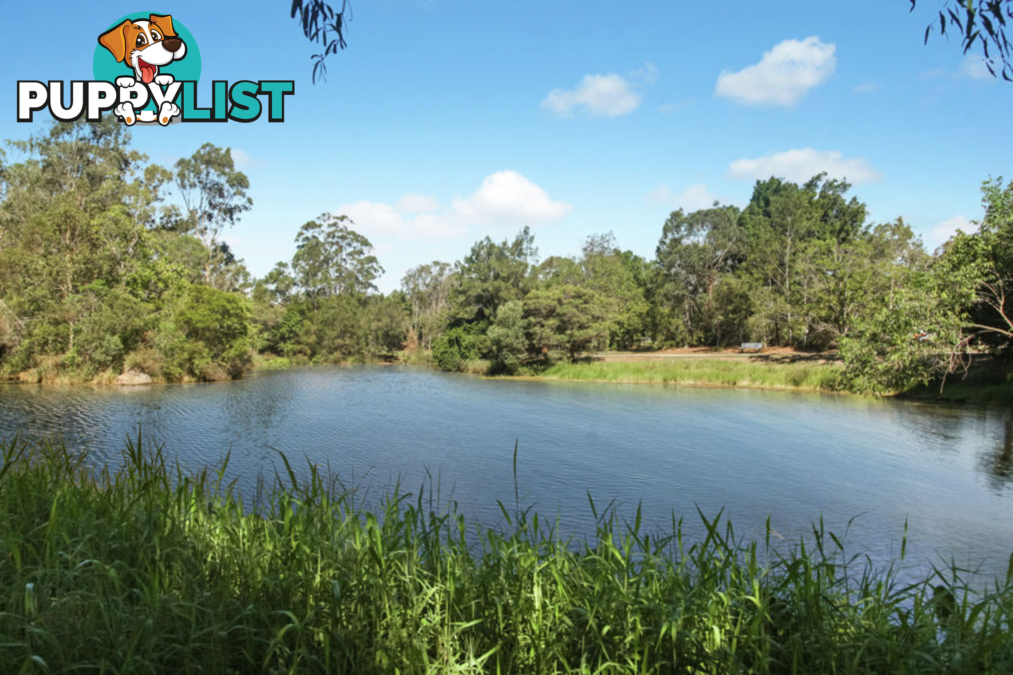 Scarlet Drive MACKENZIE QLD 4156