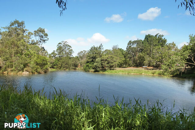Scarlet Drive MACKENZIE QLD 4156