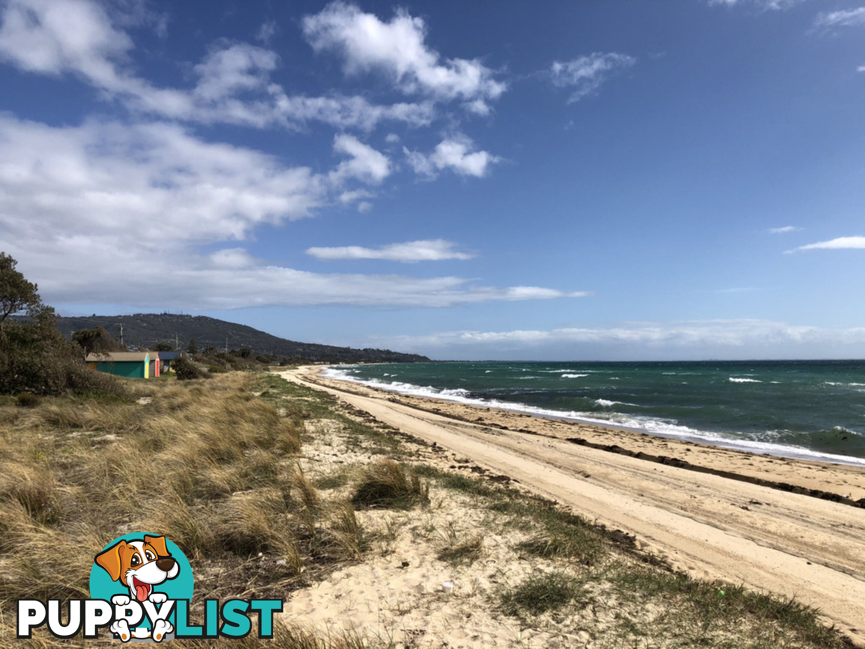 47 Beach Box SAFETY BEACH VIC 3936