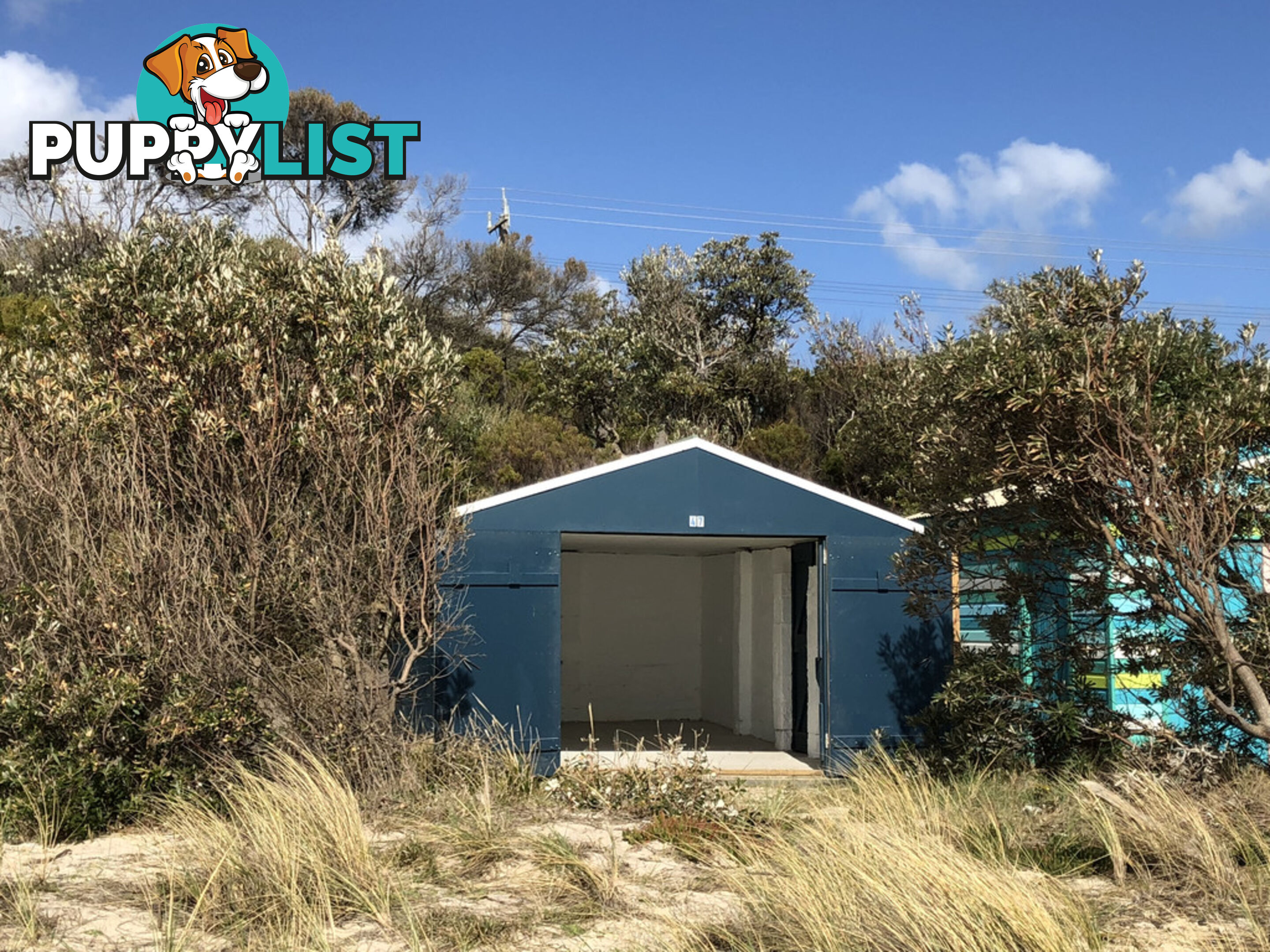 47 Beach Box SAFETY BEACH VIC 3936