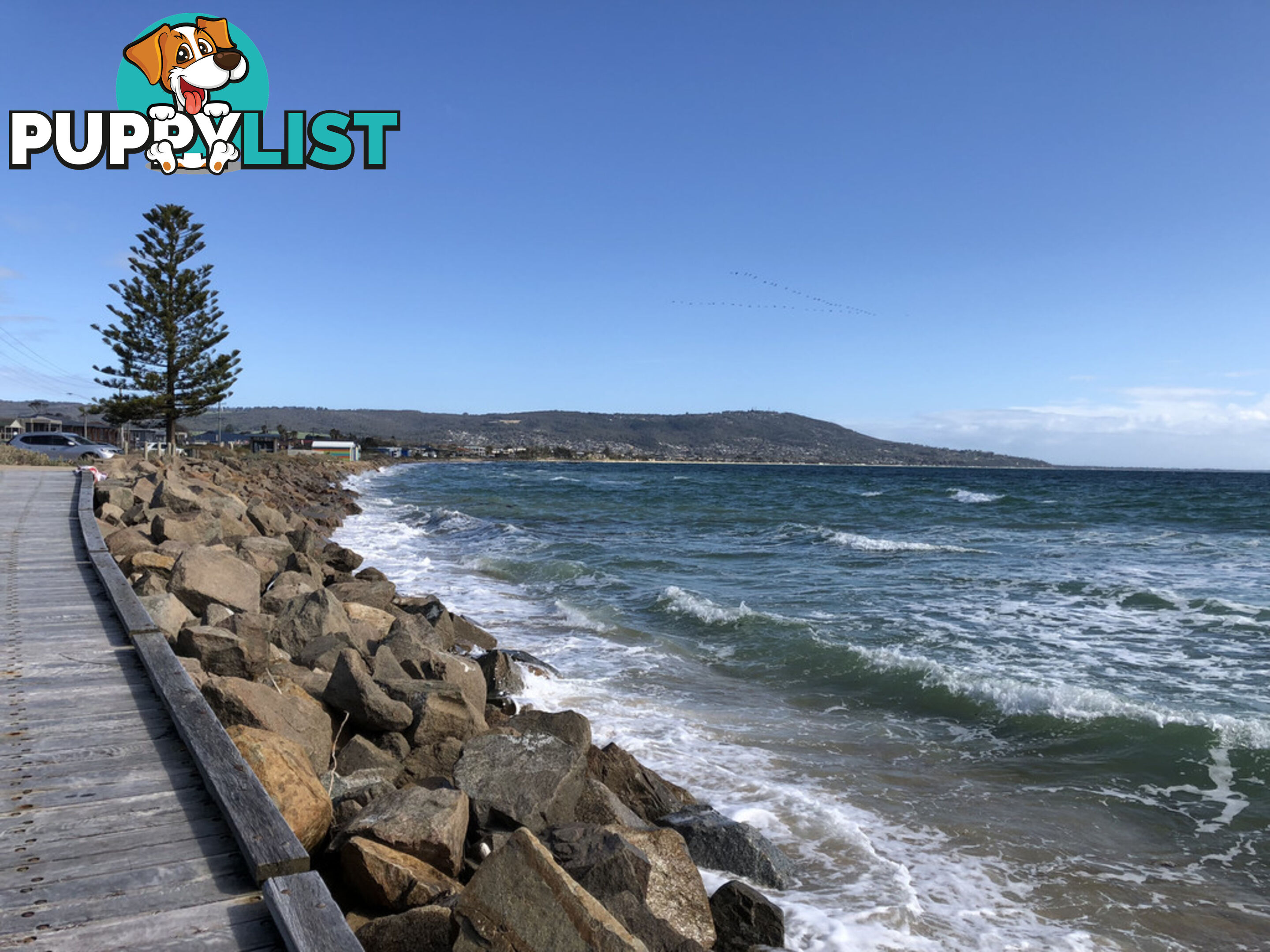 47 Beach Box SAFETY BEACH VIC 3936