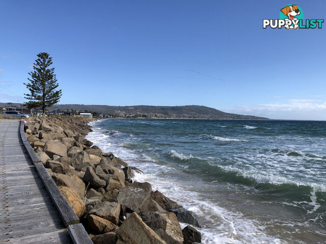 47 Beach Box SAFETY BEACH VIC 3936