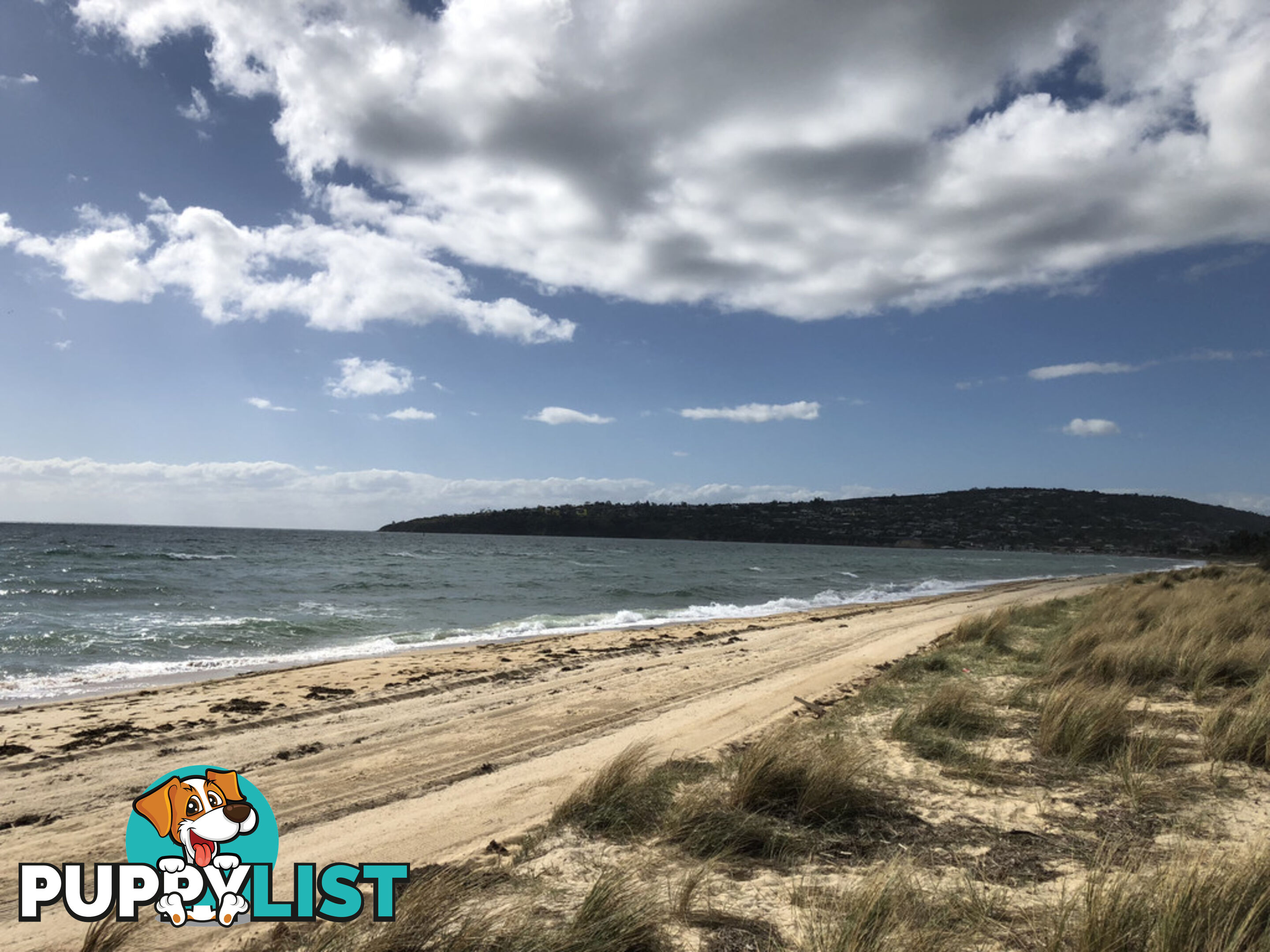 47 Beach Box SAFETY BEACH VIC 3936