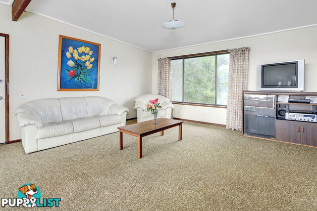 8 Wilson Crescent DROMANA VIC 3936