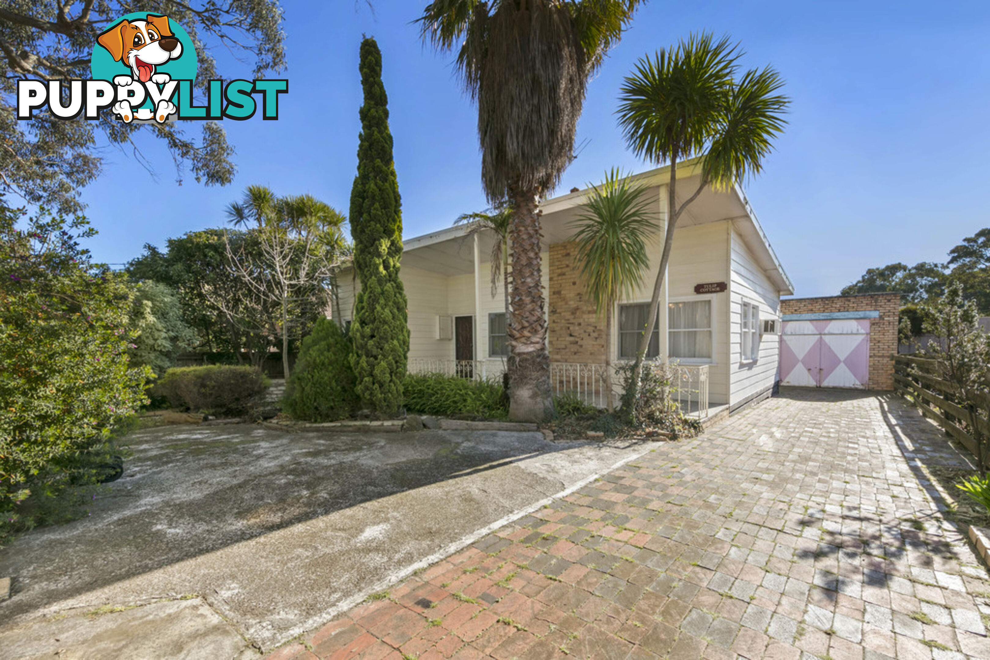 12 Dalgleish Avenue ROSEBUD VIC 3939