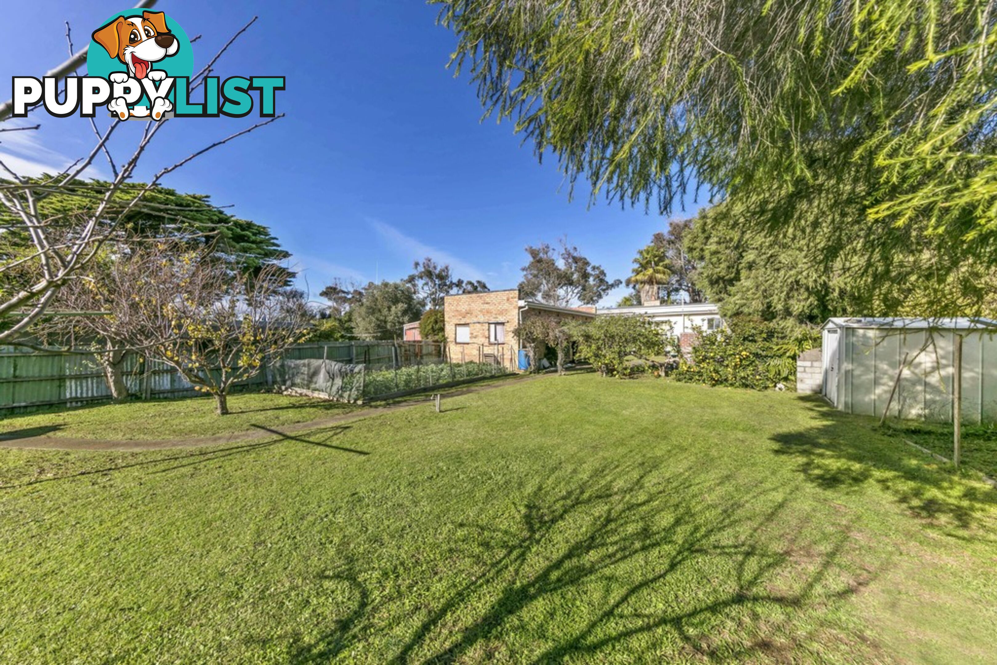 12 Dalgleish Avenue ROSEBUD VIC 3939