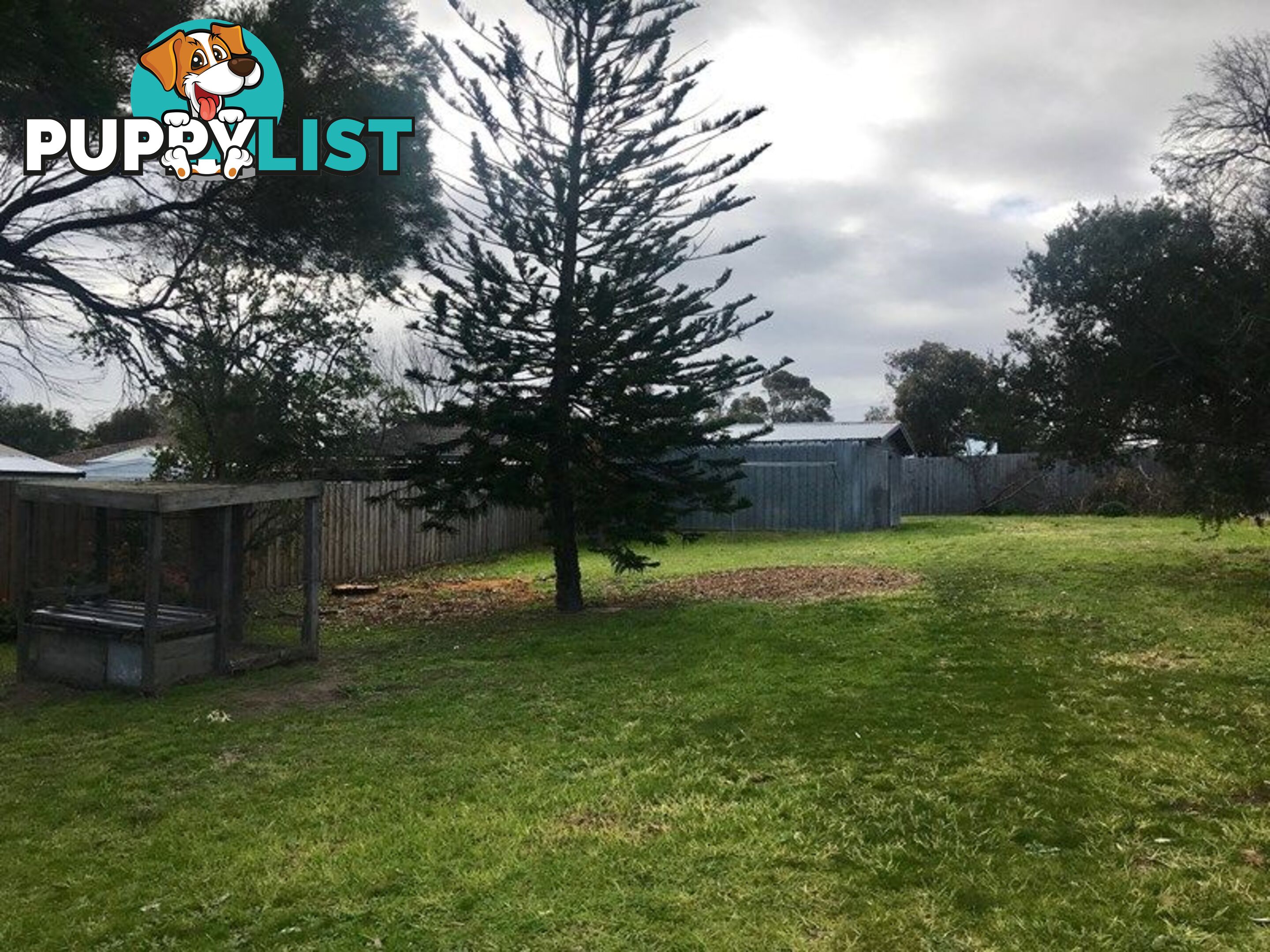 25 Capel Avenue CAPEL SOUND VIC 3940