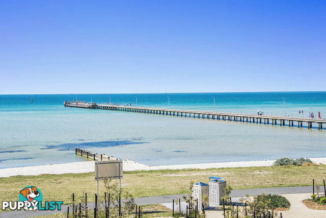 11/210-212 Jetty Road ROSEBUD VIC 3939