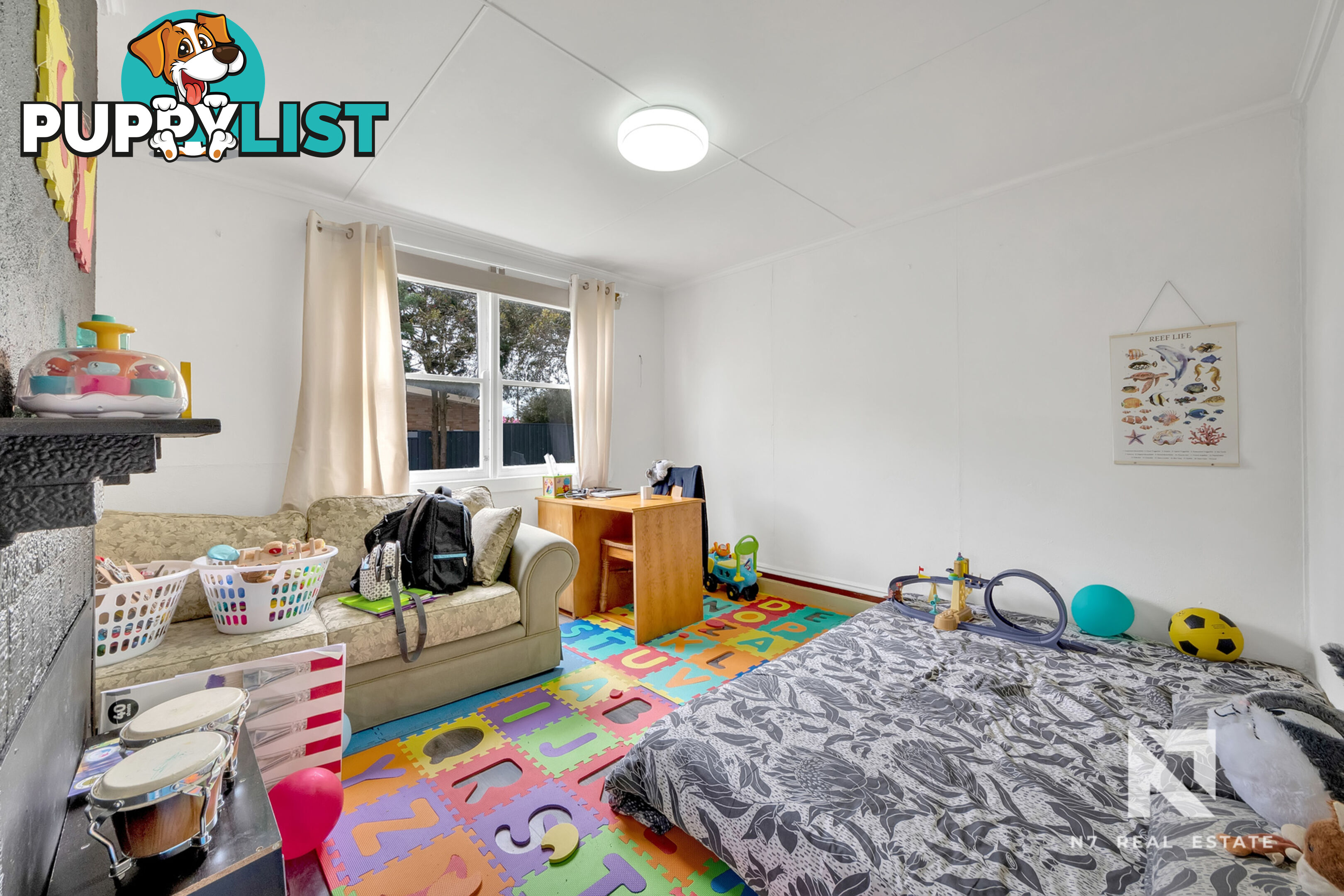 444 Cobden Street Mount Pleasant VIC 3350