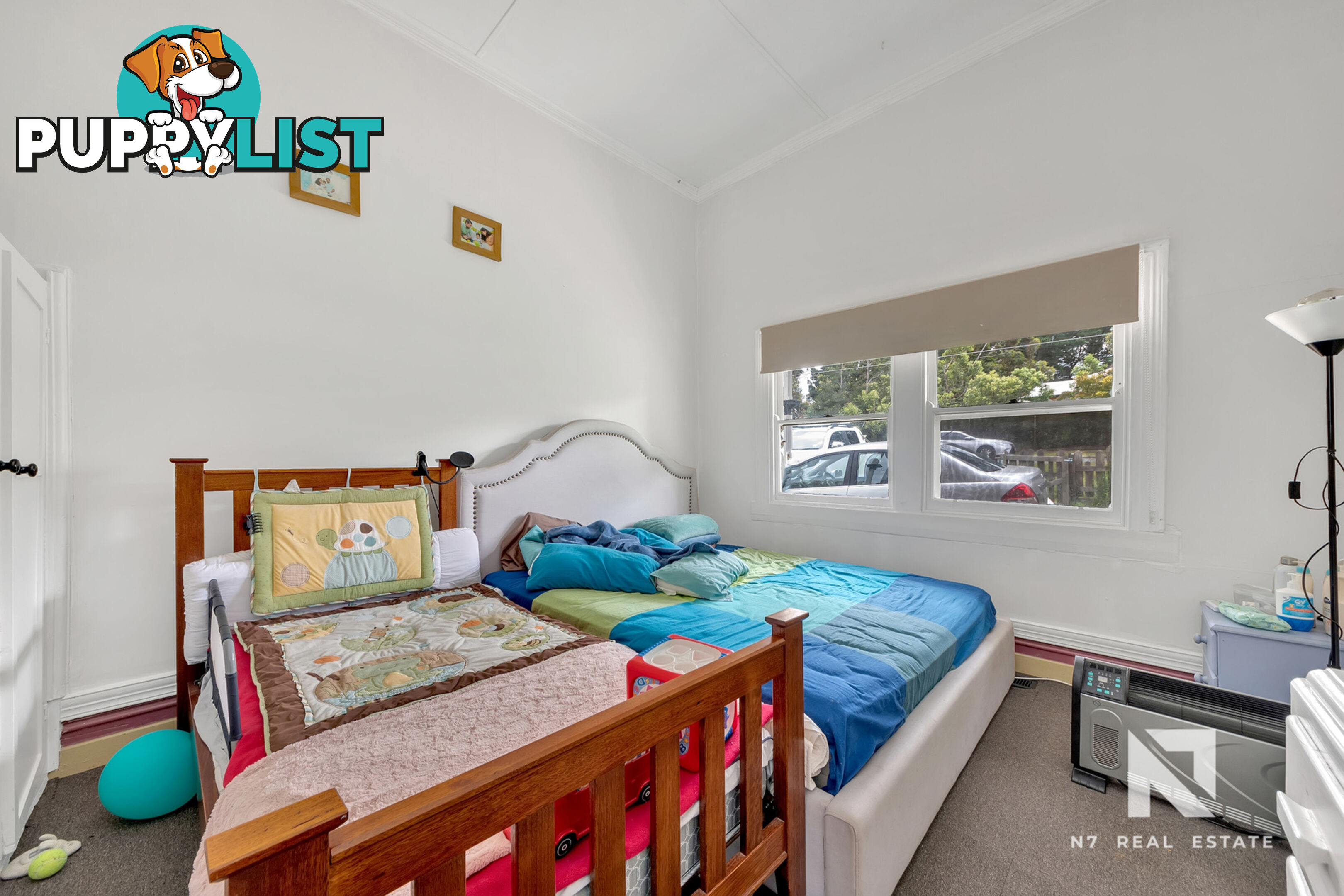 444 Cobden Street Mount Pleasant VIC 3350