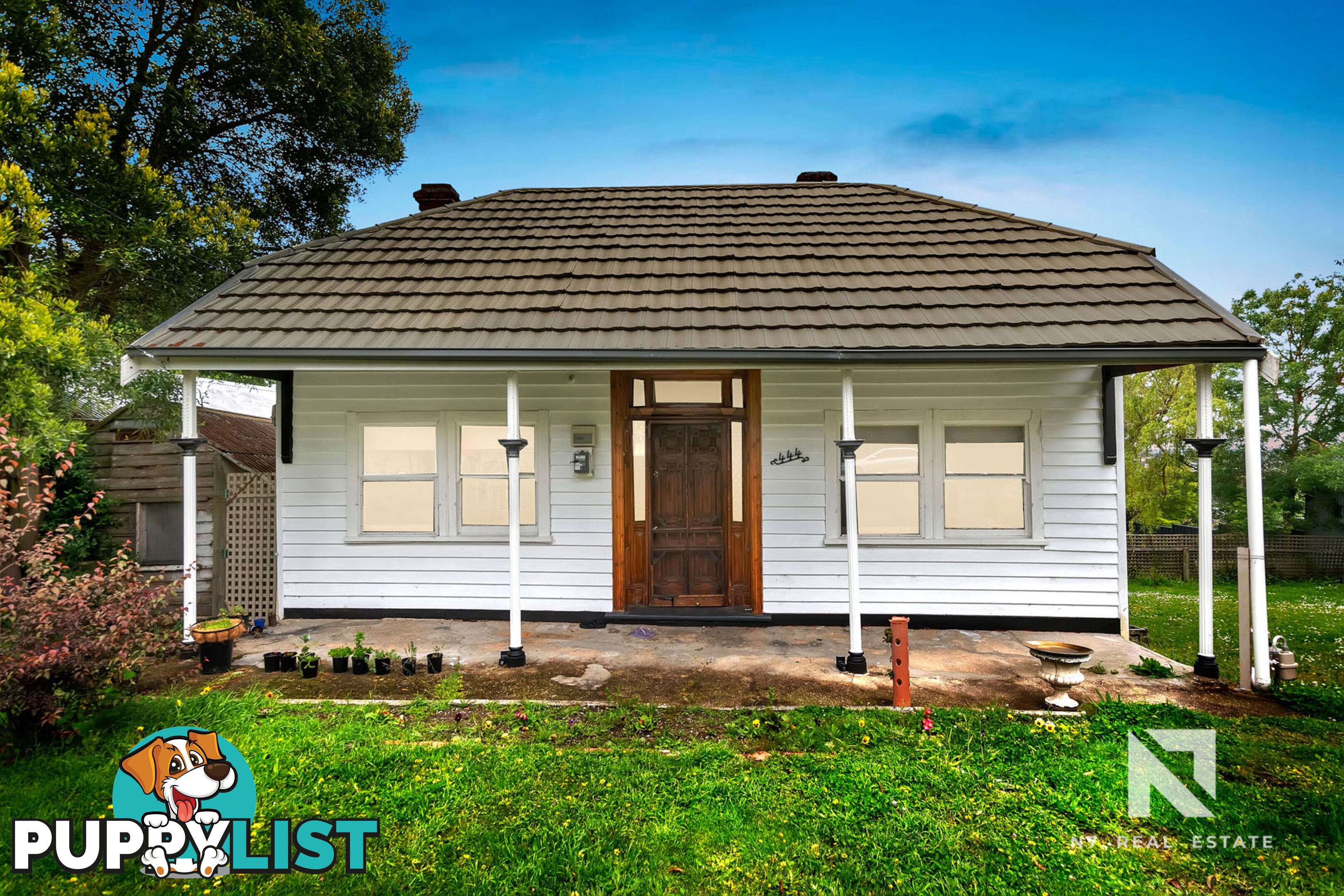 444 Cobden Street Mount Pleasant VIC 3350