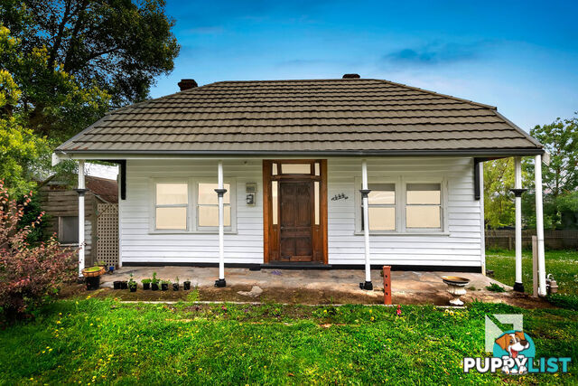 444 Cobden Street Mount Pleasant VIC 3350