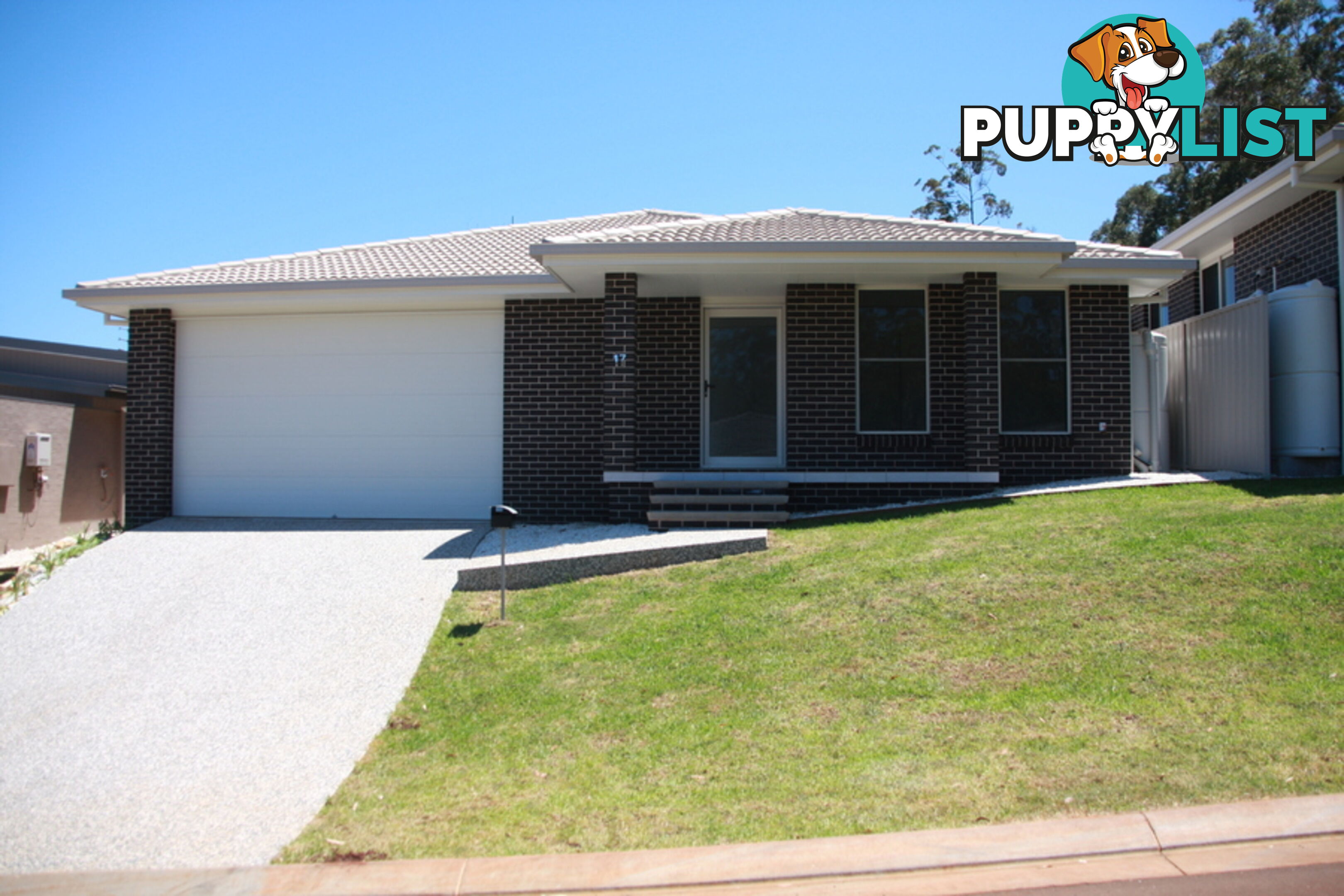 17 Usher Street PORT MACQUARIE NSW 2444