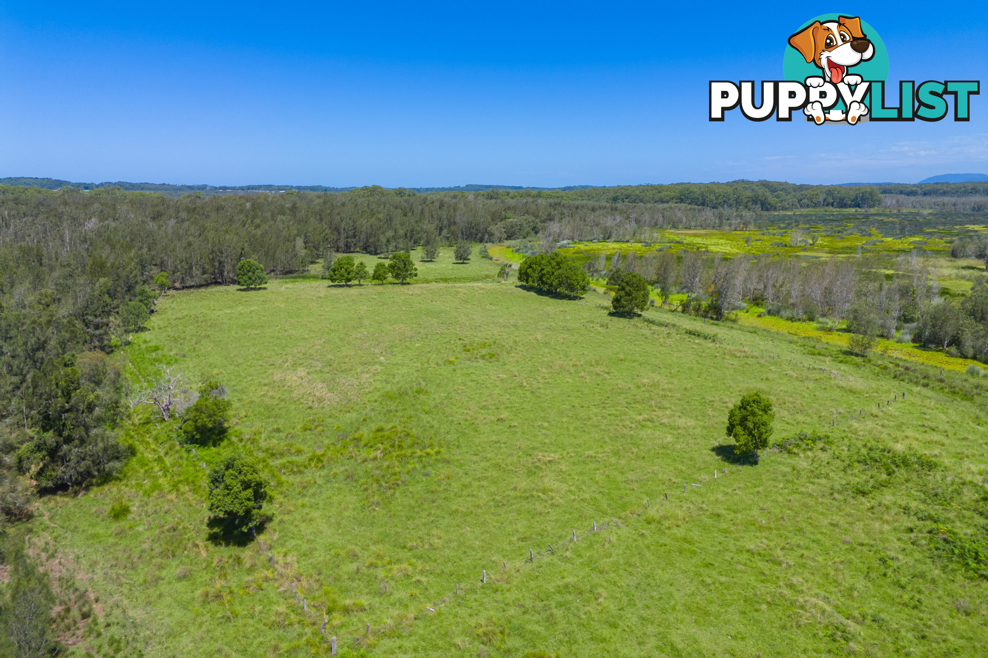 537 Hastings River Drive FERNBANK CREEK NSW 2444