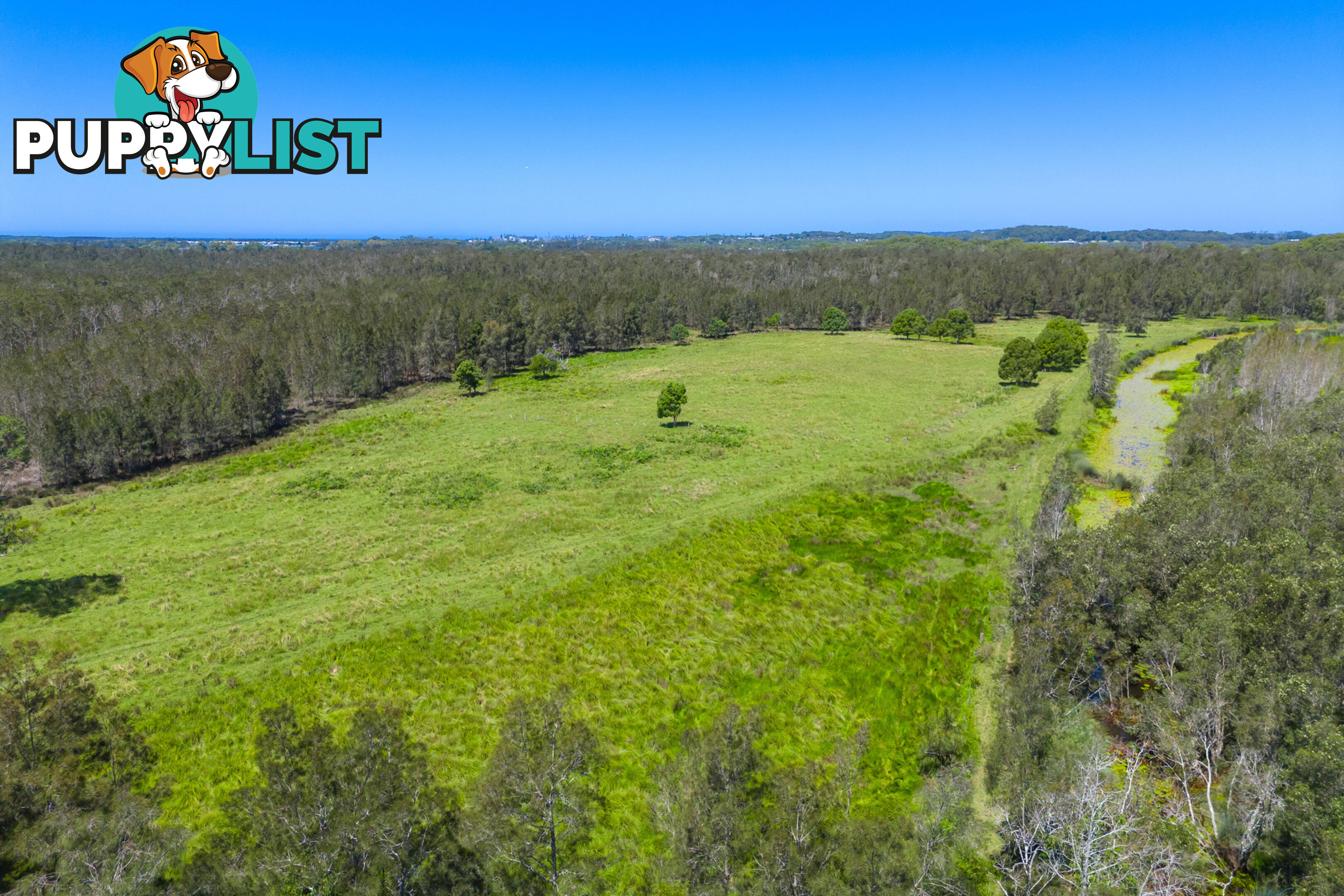 537 Hastings River Drive FERNBANK CREEK NSW 2444