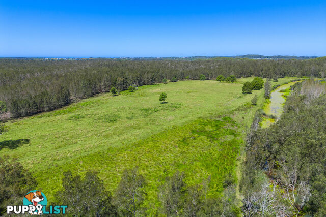 537 Hastings River Drive FERNBANK CREEK NSW 2444