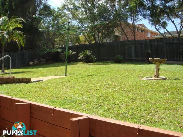 12 Clover Court PORT MACQUARIE NSW 2444