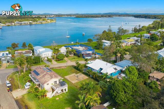 3 Shoreline Drive NORTH SHORE NSW 2444