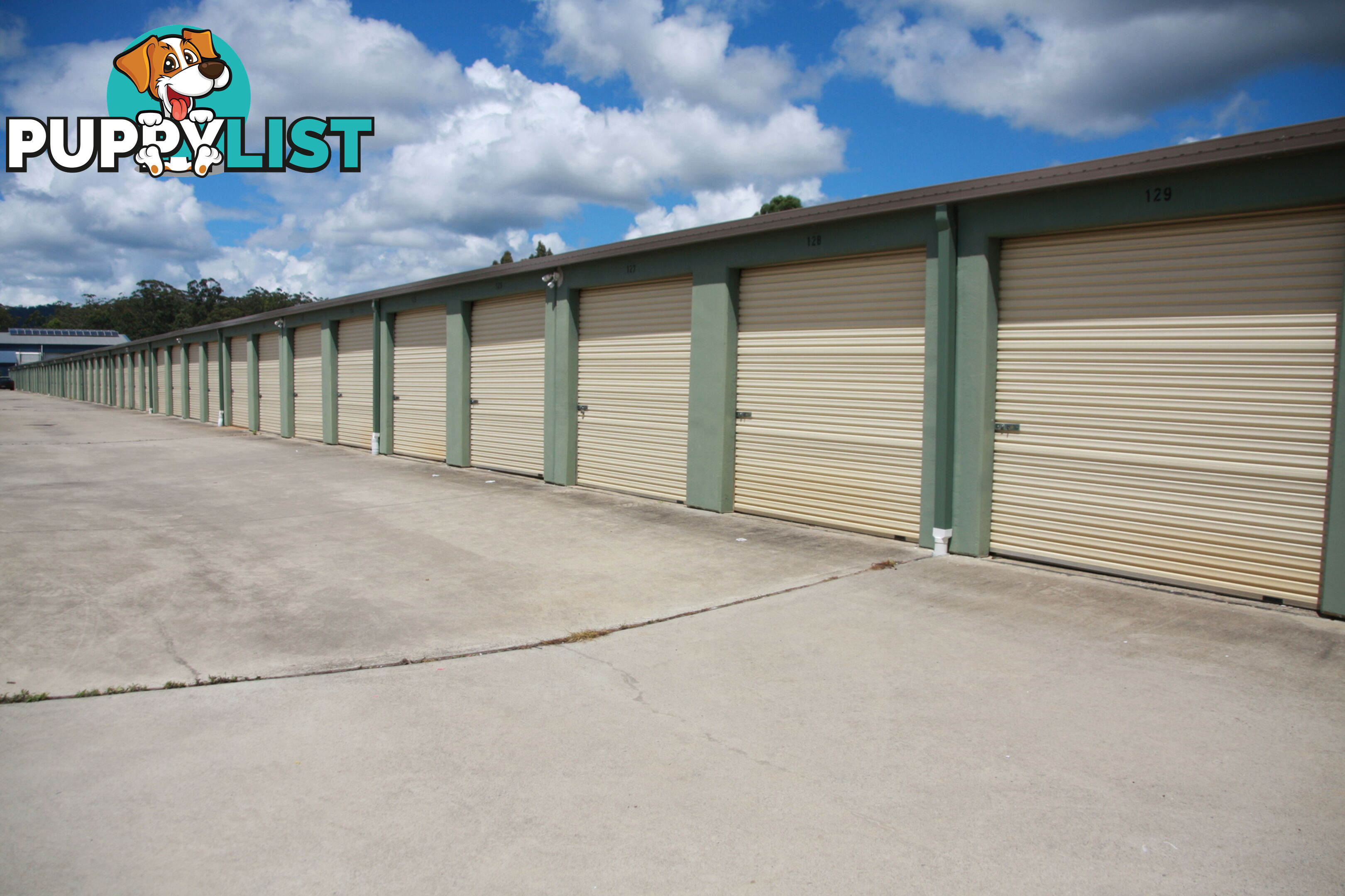 16 Commerce Street WAUCHOPE NSW 2446