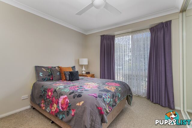 11 Cairncross Place PORT MACQUARIE NSW 2444