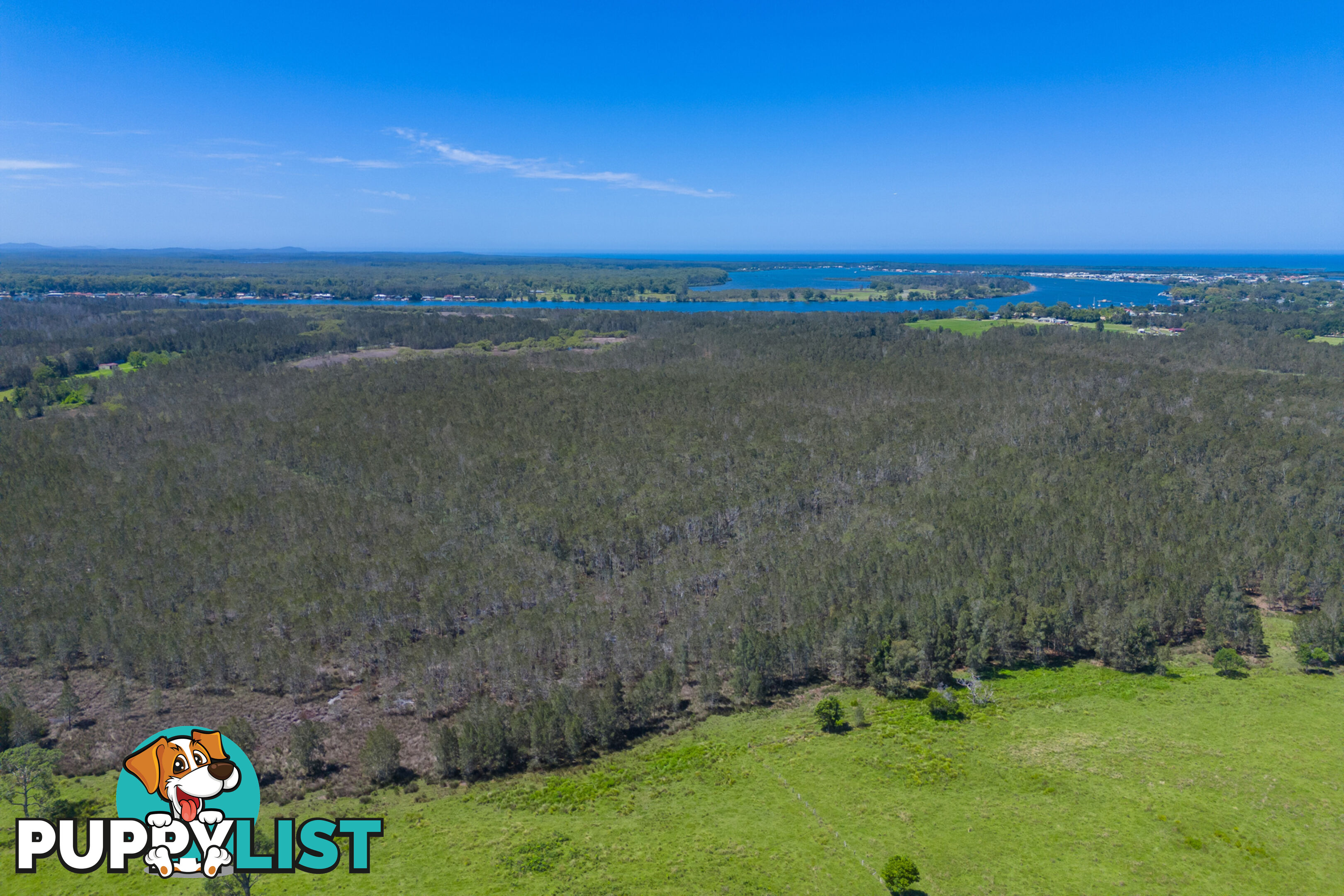 467 Hastings River Drive PORT MACQUARIE NSW 2444