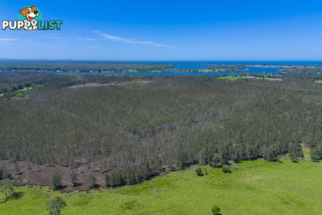 467 Hastings River Drive PORT MACQUARIE NSW 2444