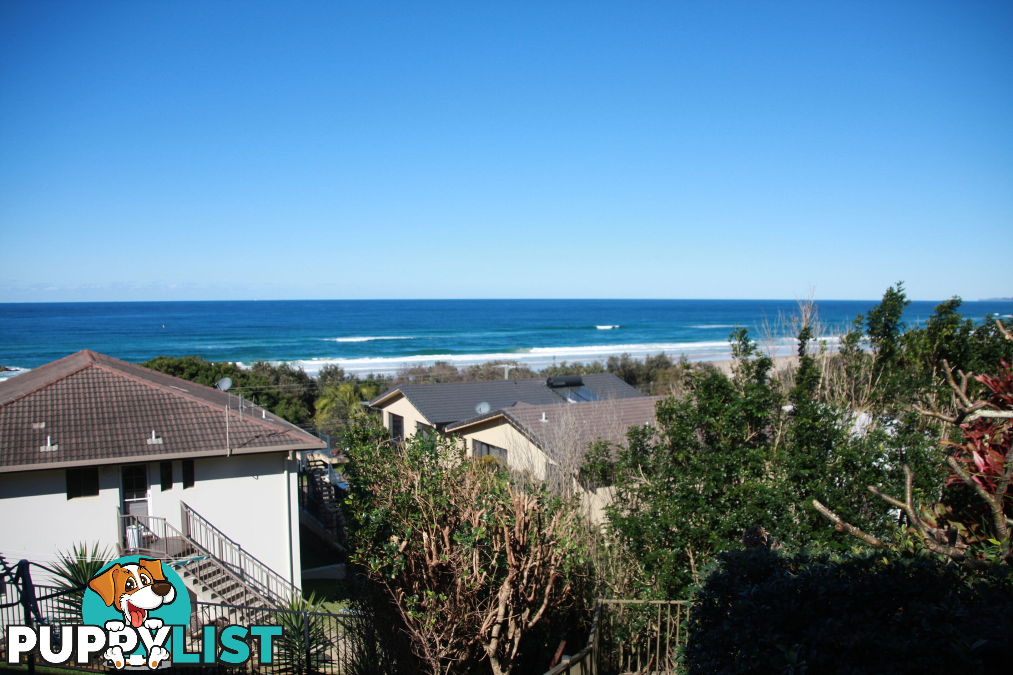 6A Dent Crescent PORT MACQUARIE NSW 2444