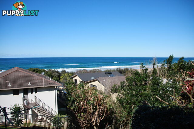 6A Dent Crescent PORT MACQUARIE NSW 2444