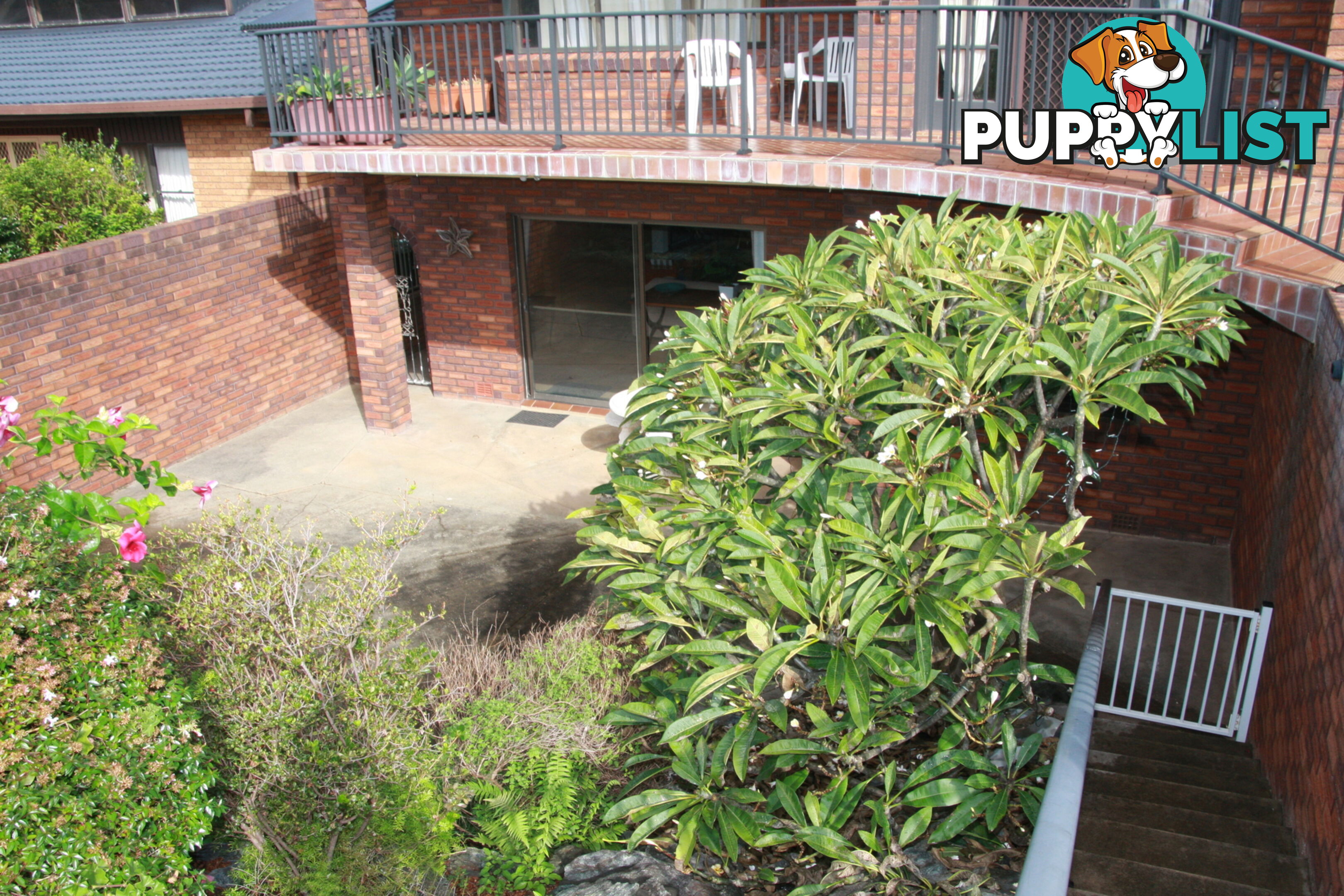 6A Dent Crescent PORT MACQUARIE NSW 2444