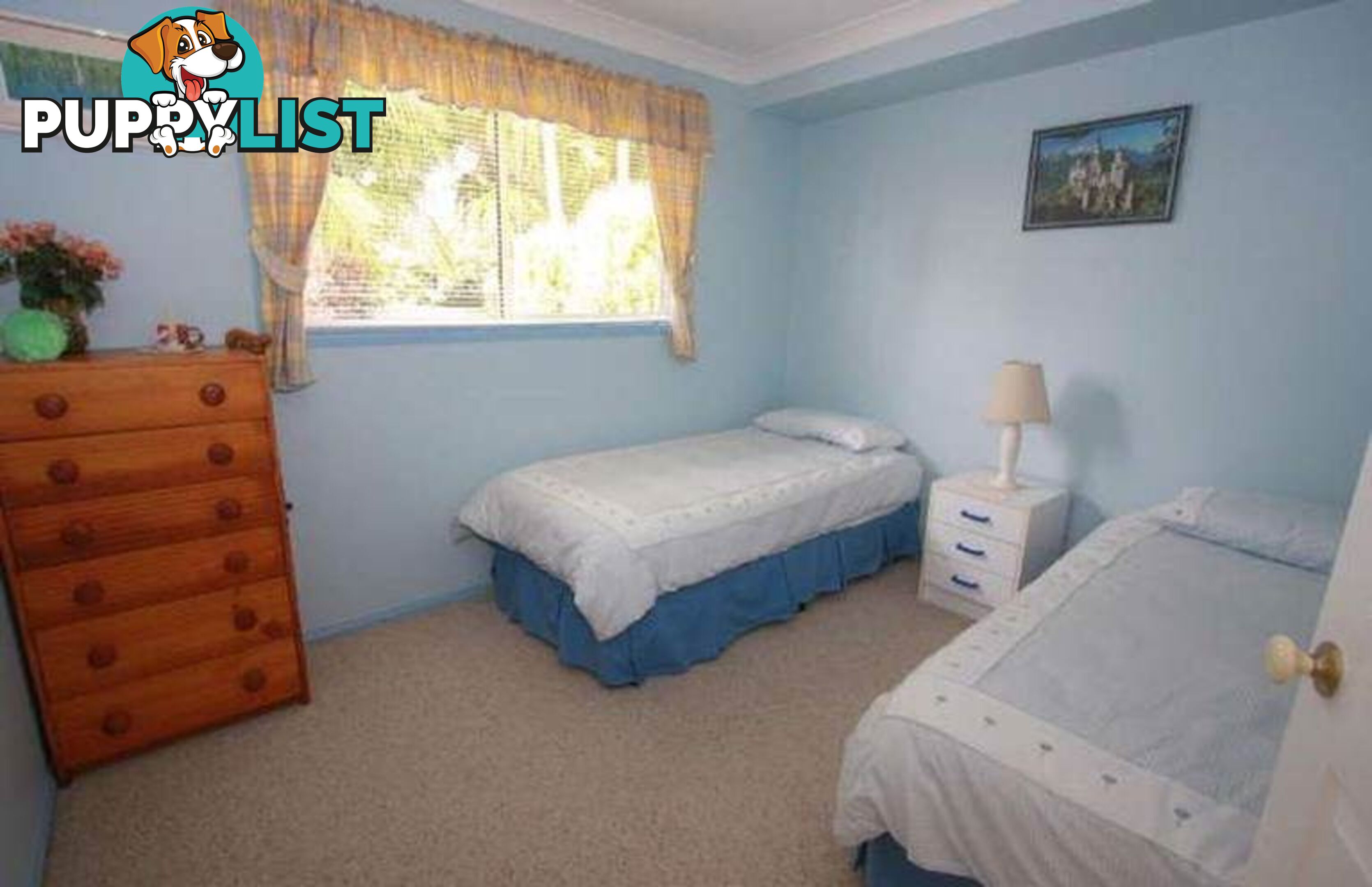 3 Opal Circuit PORT MACQUARIE NSW 2444