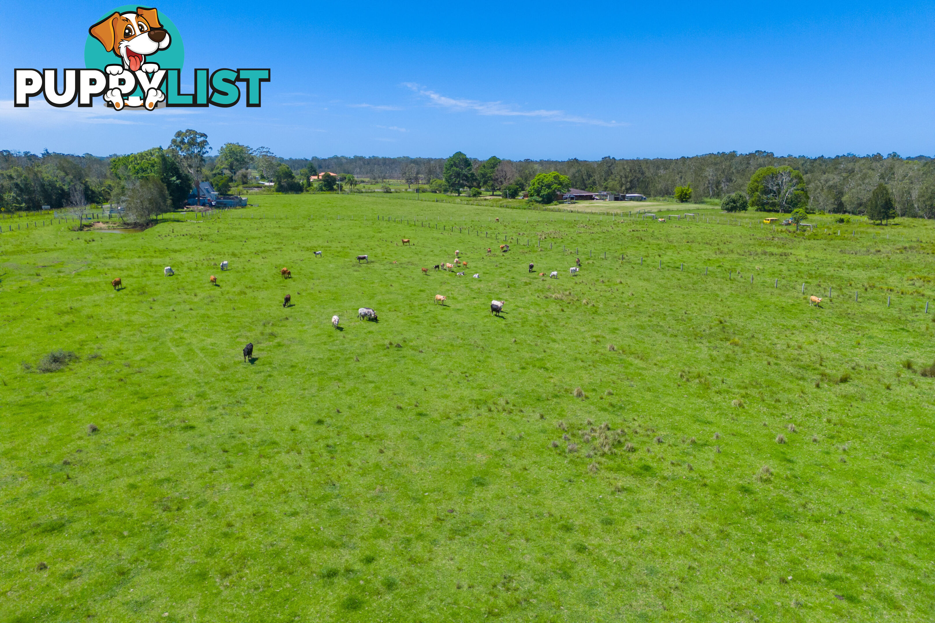 385 Fernbank Creek Road FERNBANK CREEK NSW 2444